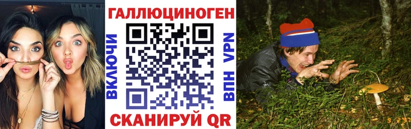 как найти наркотики  blacksprut ССЫЛКА  Галлюциногенные грибы прущие грибы  Усть-Джегута 